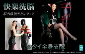 M男を極限まで責め尽くす本格女王様プレイ！フィスト&アナル開発の至高体験